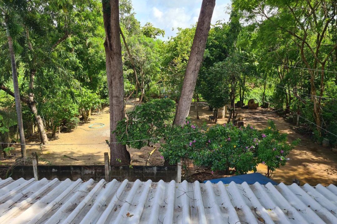 Photo of Others in Chakphong