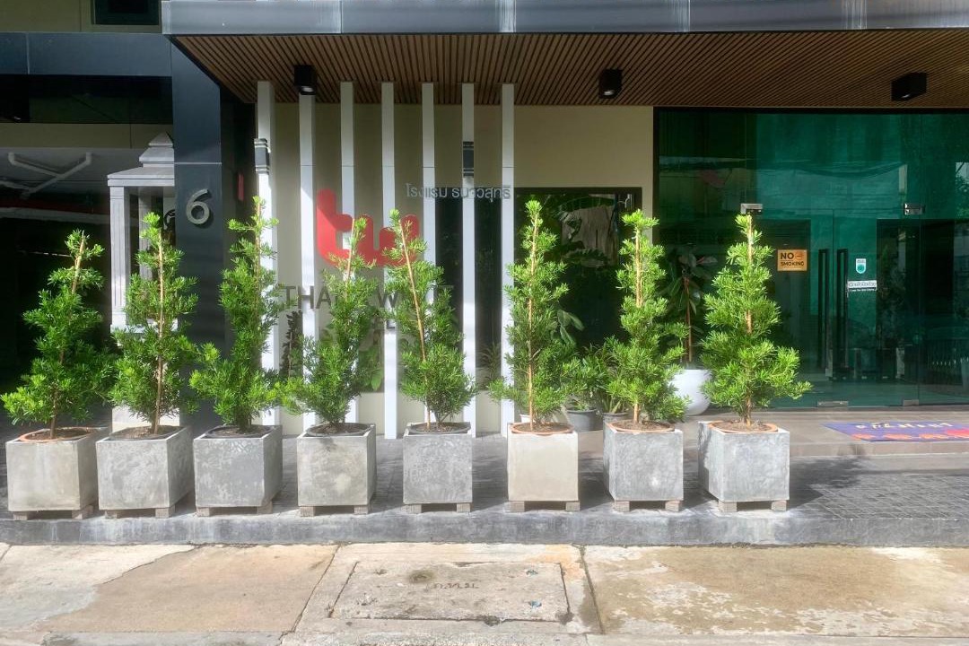 Photo of Others in Banglamphu