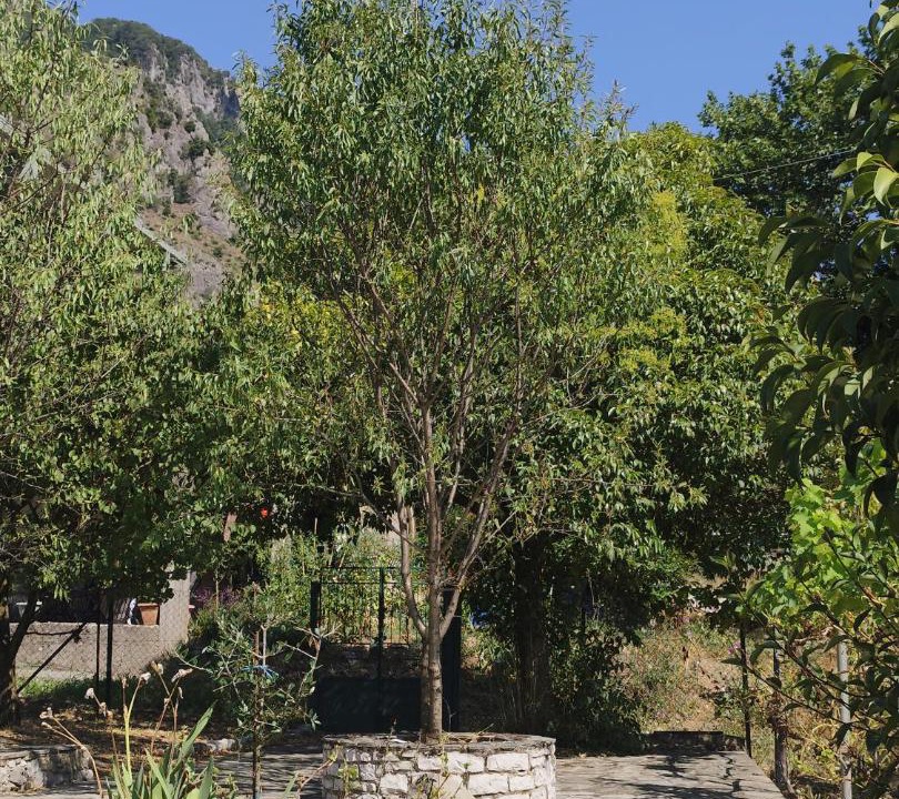 Photo of Outdoor in Konitsa
