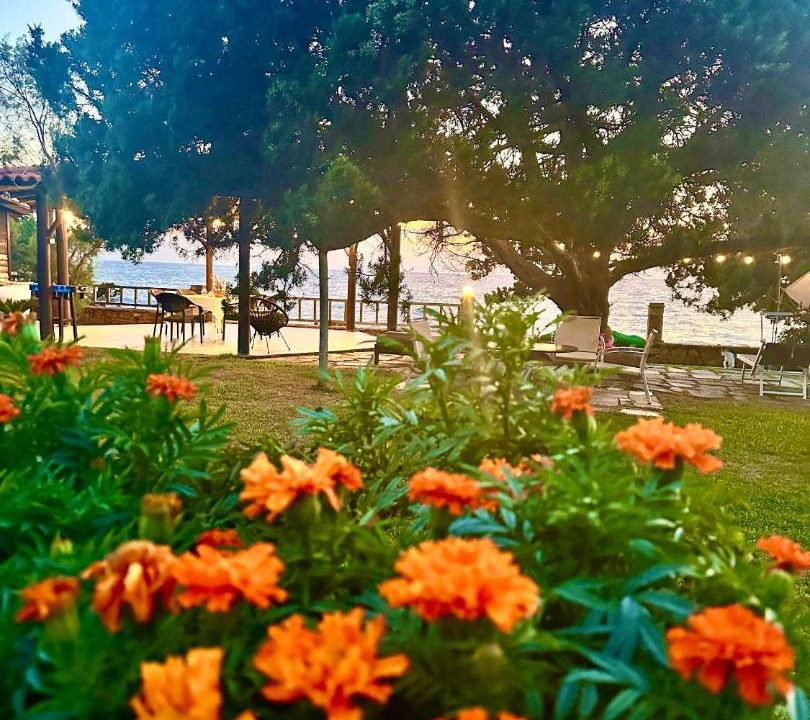 Photo of Others in Pyrgos