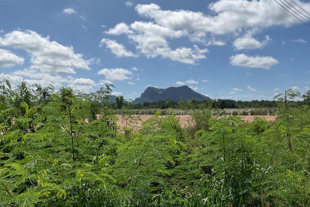Photo of Outdoor in Don Sak