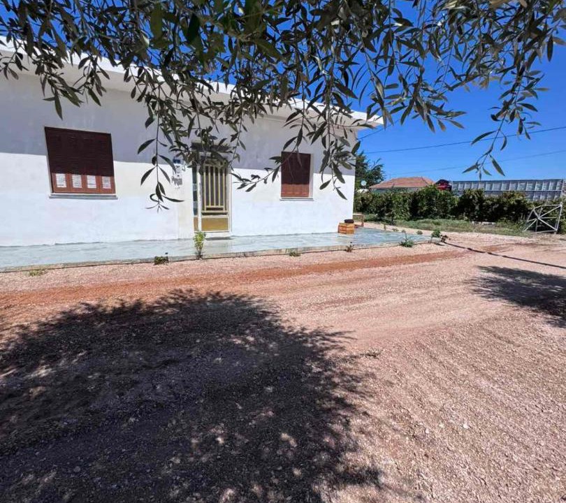 Photo of Others in Pineios