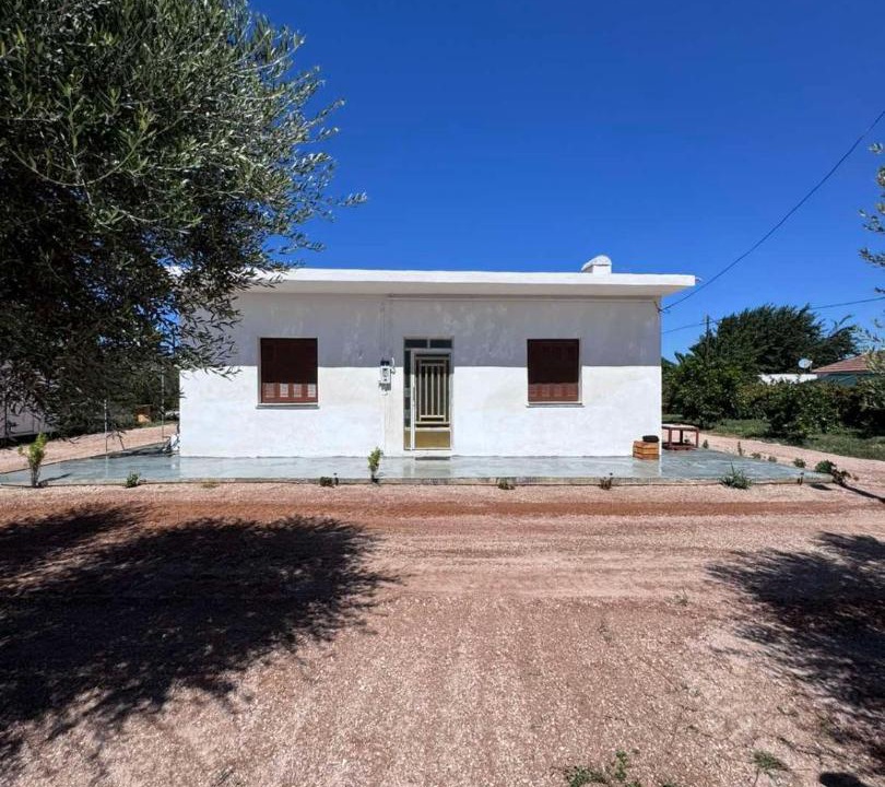Photo of Others in Pineios