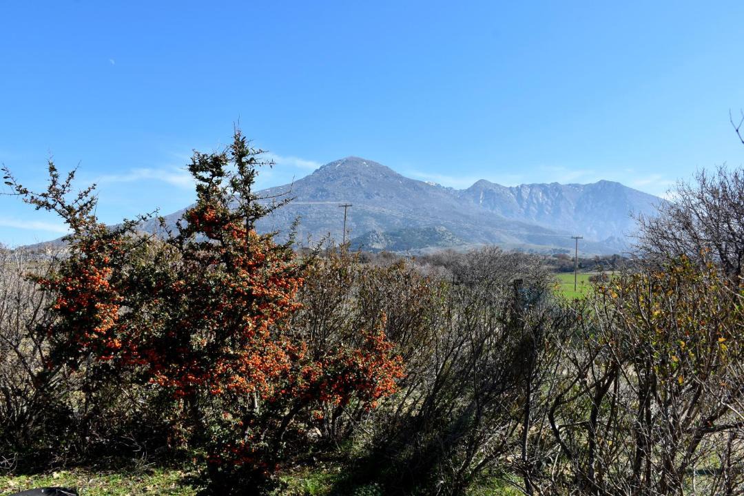 Photo of Outdoor in Kamariotissa