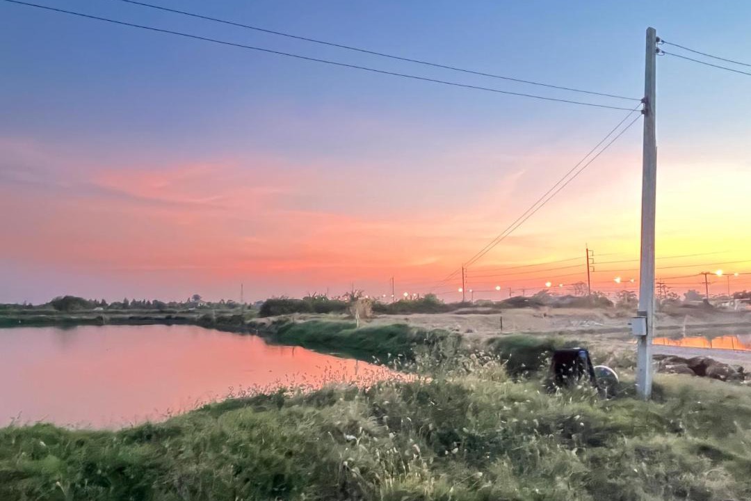 Photo of Others in Phanat Nikhom