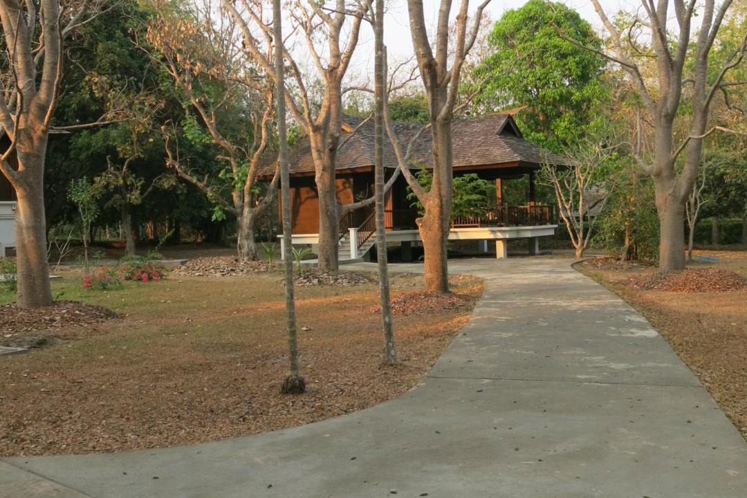 Photo of Others in Mae Rim