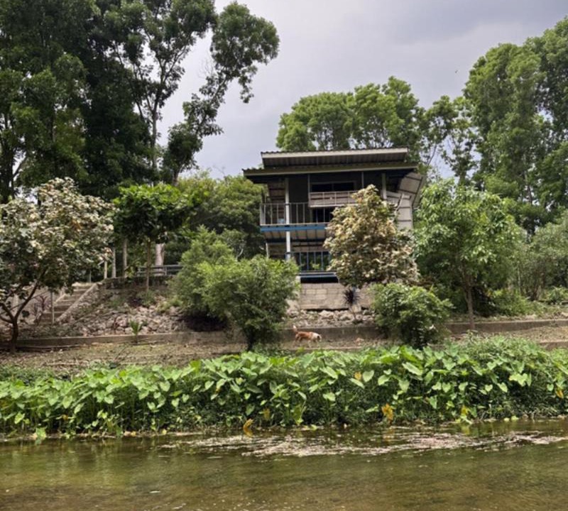 Photo of Others in Suan Phueng