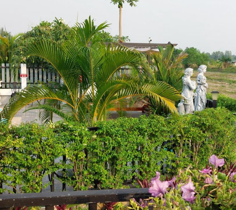 Photo of Others in Khun Han