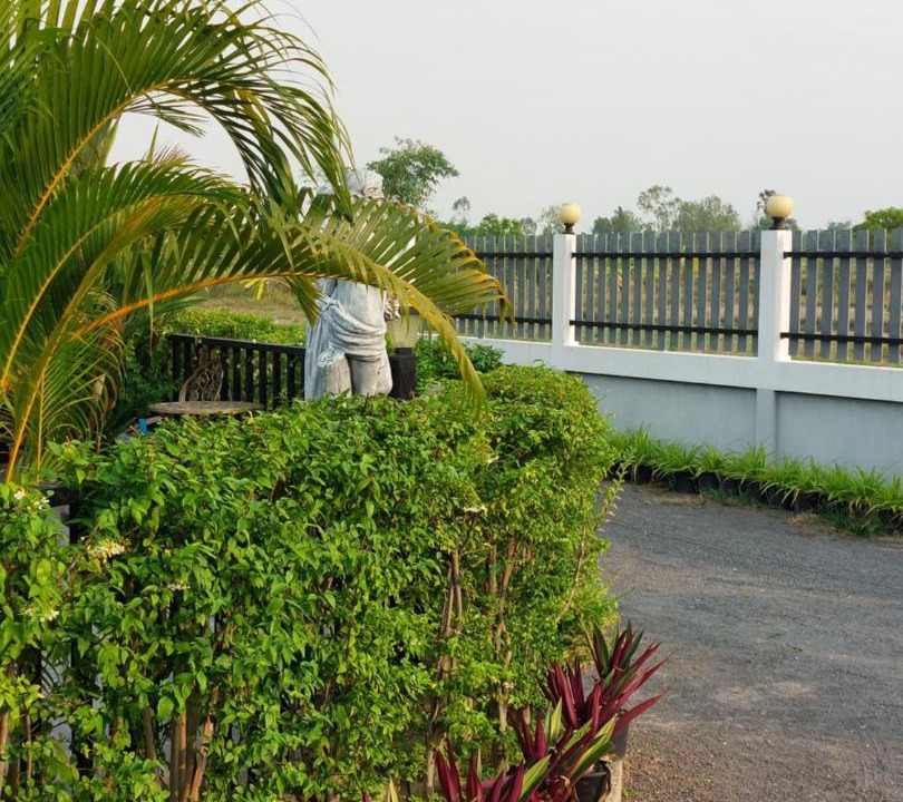 Photo of Others in Khun Han