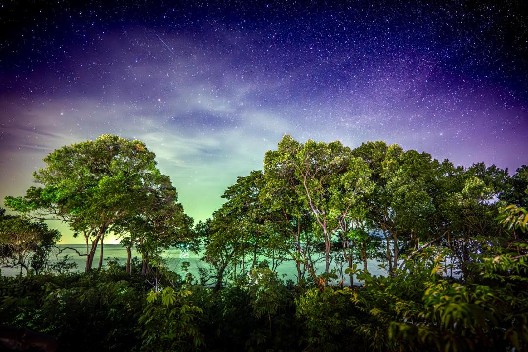Photo of Others in Koh Rong Sanloem