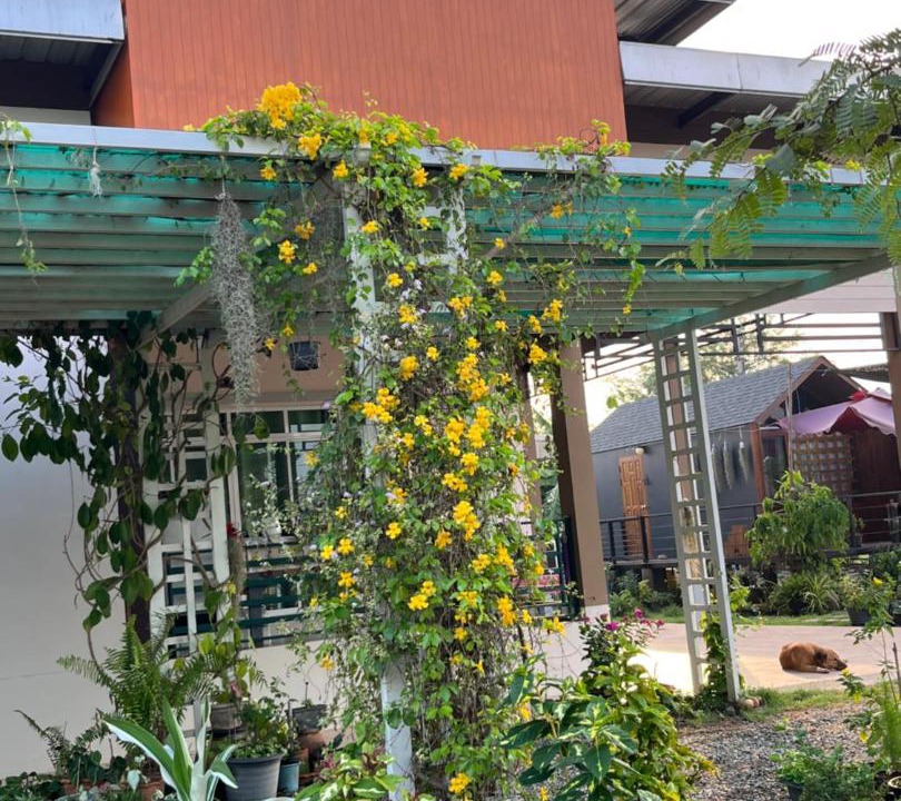 Photo of Others in Phanat Nikhom