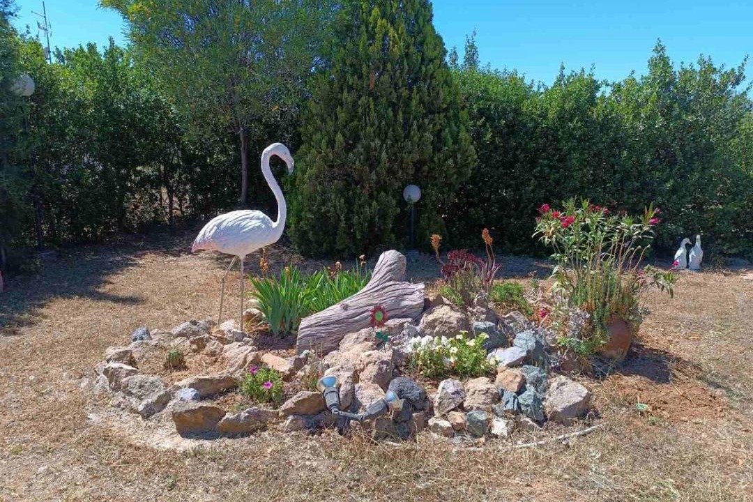 Photo of Others in Chalcis