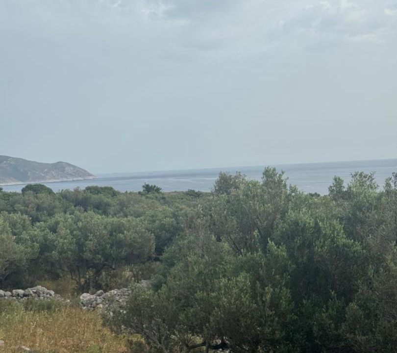 Photo of Others in Alika