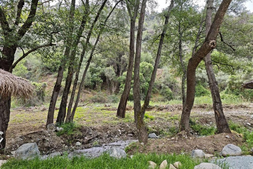 Photo of Others in Kalopanayiotis