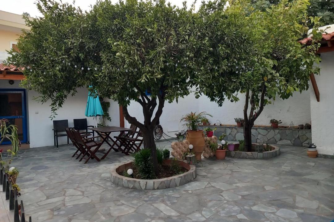 Photo of Others in Palekastro