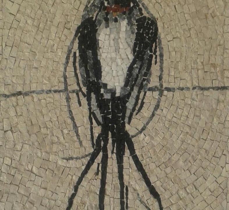 Photo of Others in Pineios