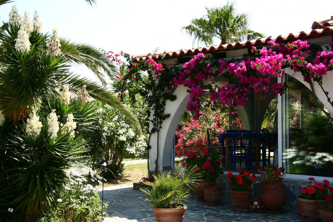 Photo of Others in Pineios
