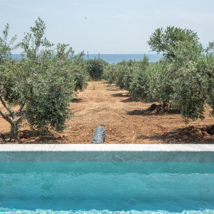 Photo of Others in Aristotelis