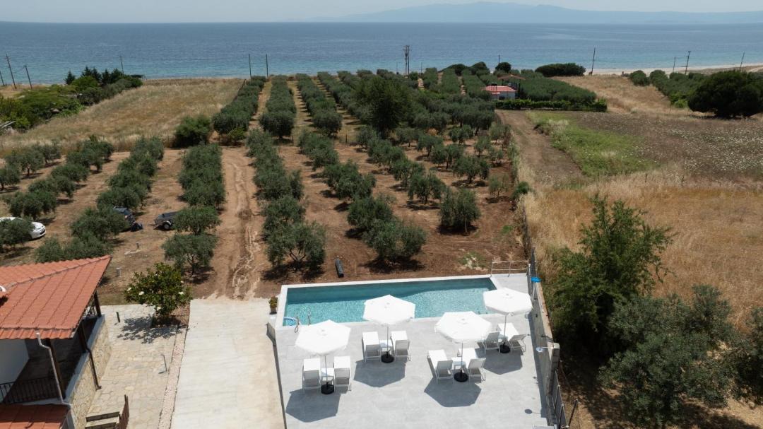 Photo of Others in Aristotelis