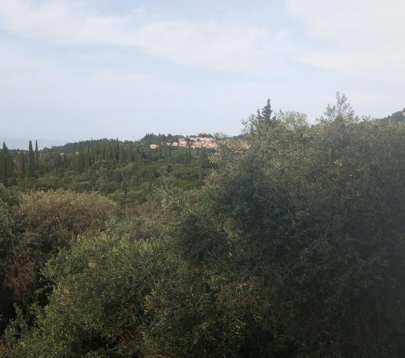 Photo of Others in Agioi Deka