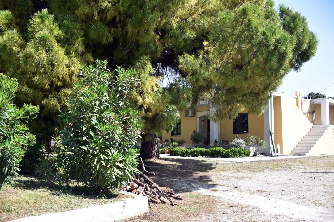 Photo of Others in Pythagorion