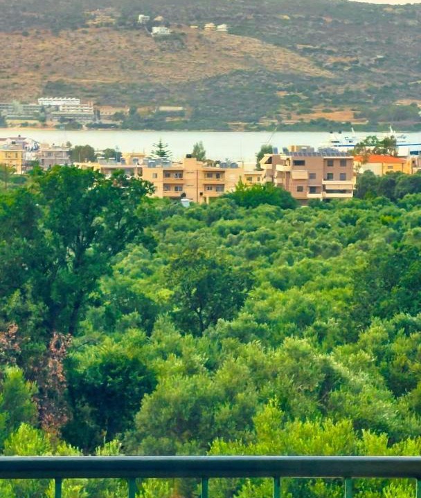 Photo of Others in Tsikalaria