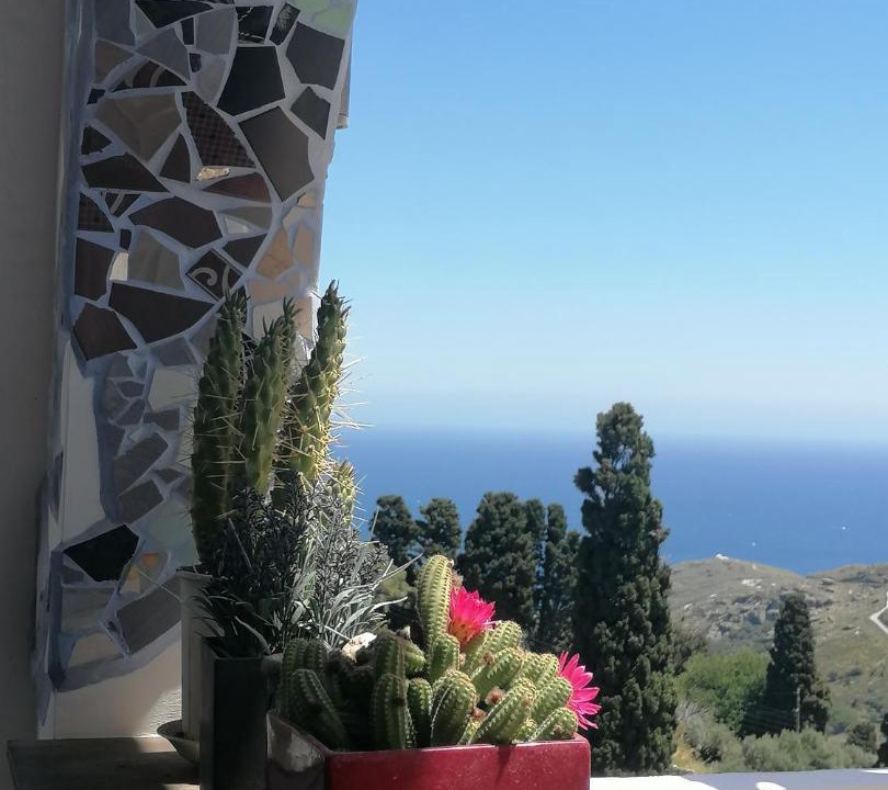 Photo of Patio Balcony in Apikia