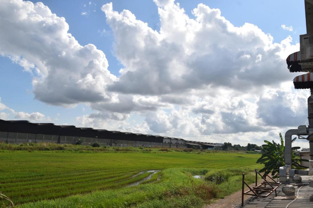 Photo of Others in Khlong Sam Prawet
