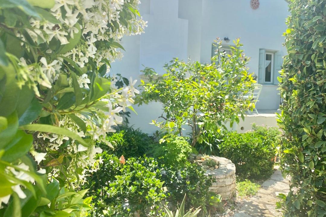 Photo of Others in Symi