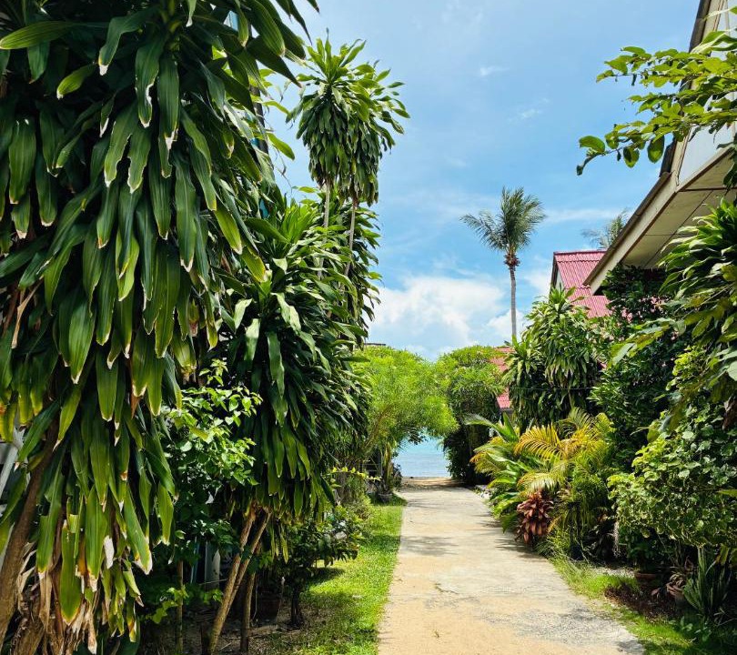 Photo of Others in Bang Po