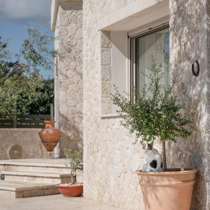 Photo of Others in Corfu