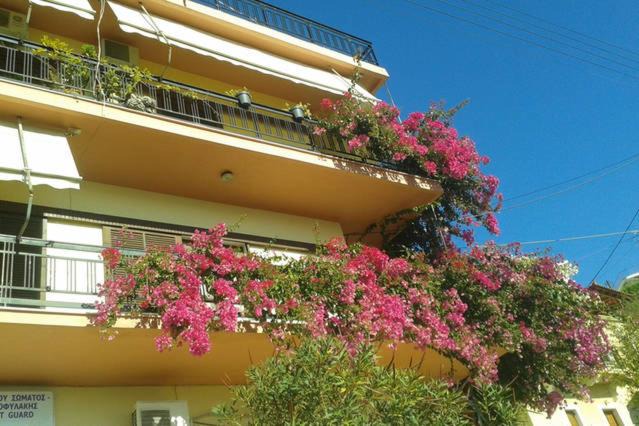 Photo of Patio Balcony in Paralio Astros