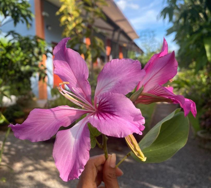 Photo of Outdoor in Khanom
