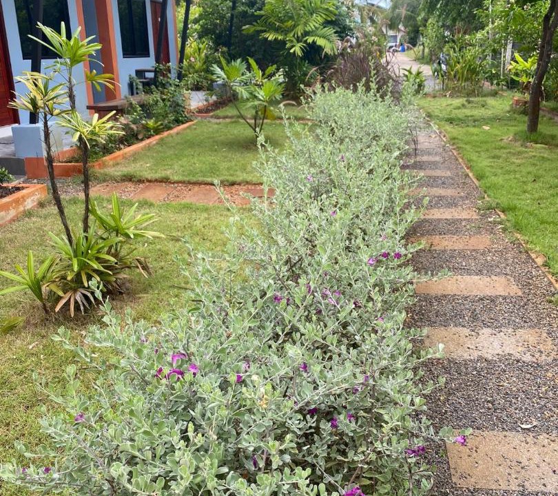 Photo of Outdoor in Khanom