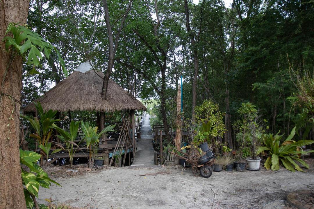 Photo of Others in Mae Pim