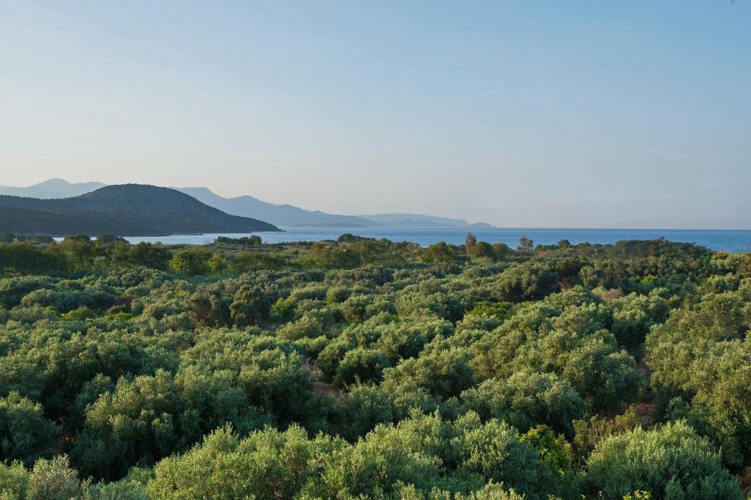Photo of Outdoor in Kalo Chorio