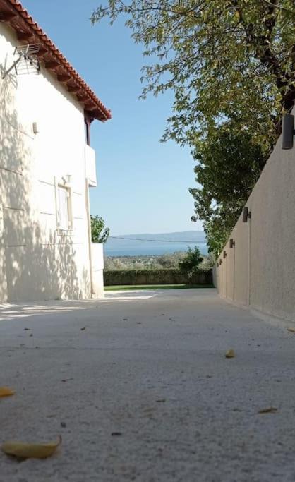 Photo of Others in Eretria