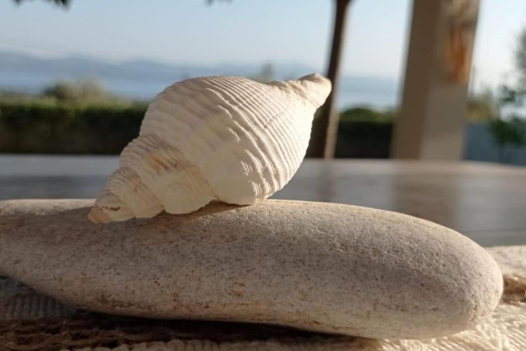 Photo of Others in Eretria