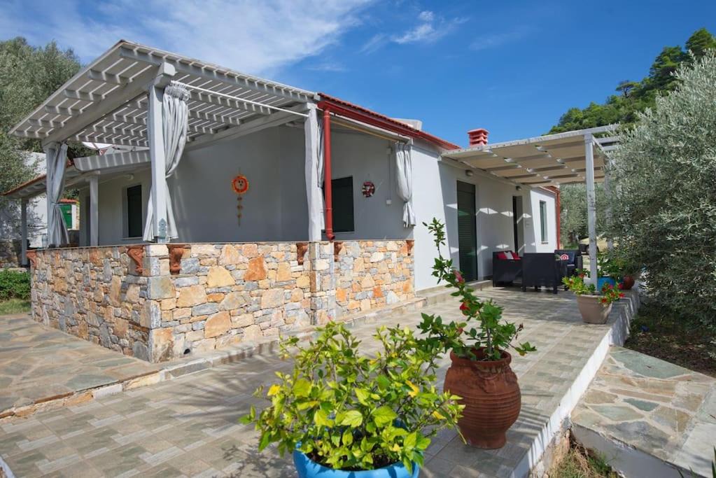 Photo of Others in Alonissos