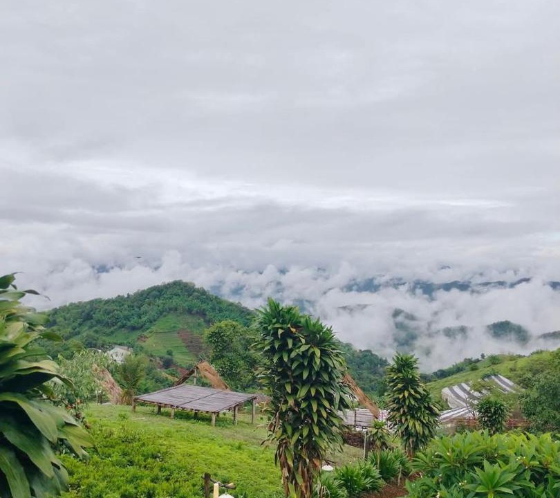 Photo of Others in Samoeng Tai