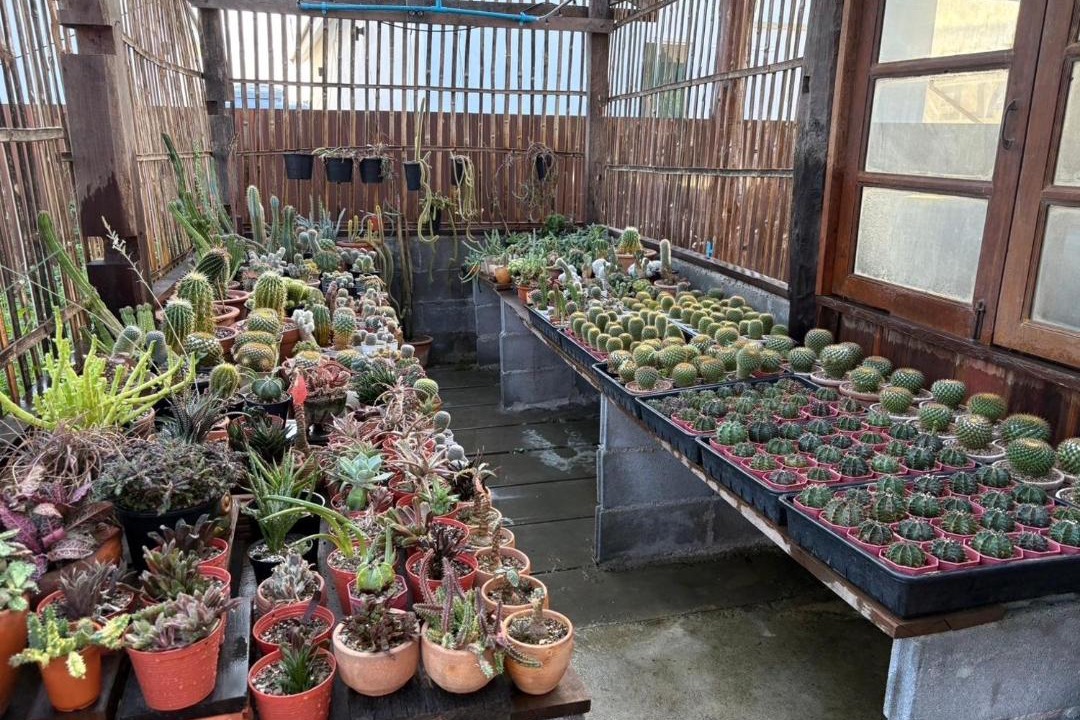 Photo of Others in Hang Dong