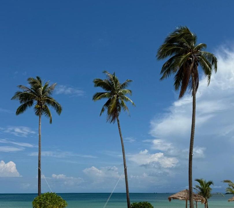 Photo of Others in Koh Rong