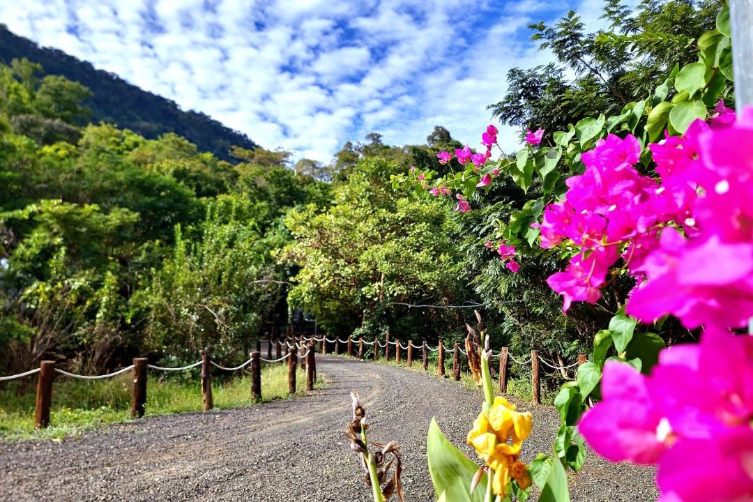 Photo of Outdoor in Srah Emm
