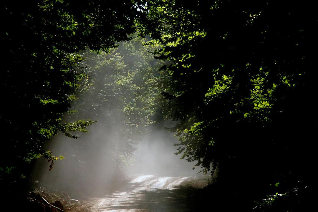 Photo of Others in Litochoro