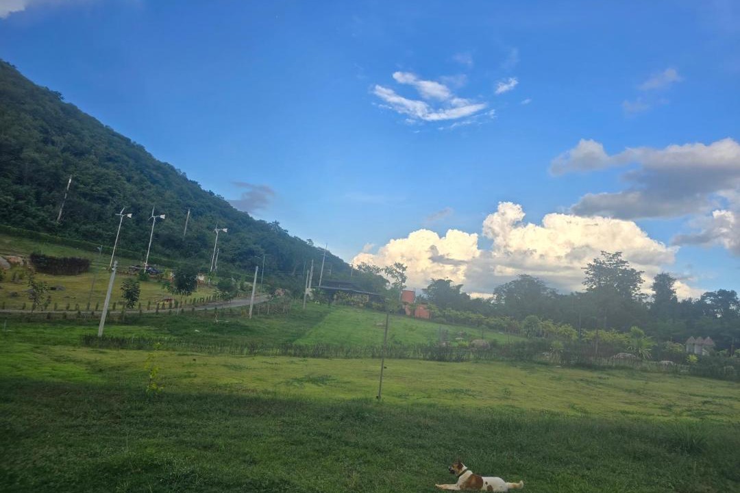 Photo of Outdoor in Pong Ta Long