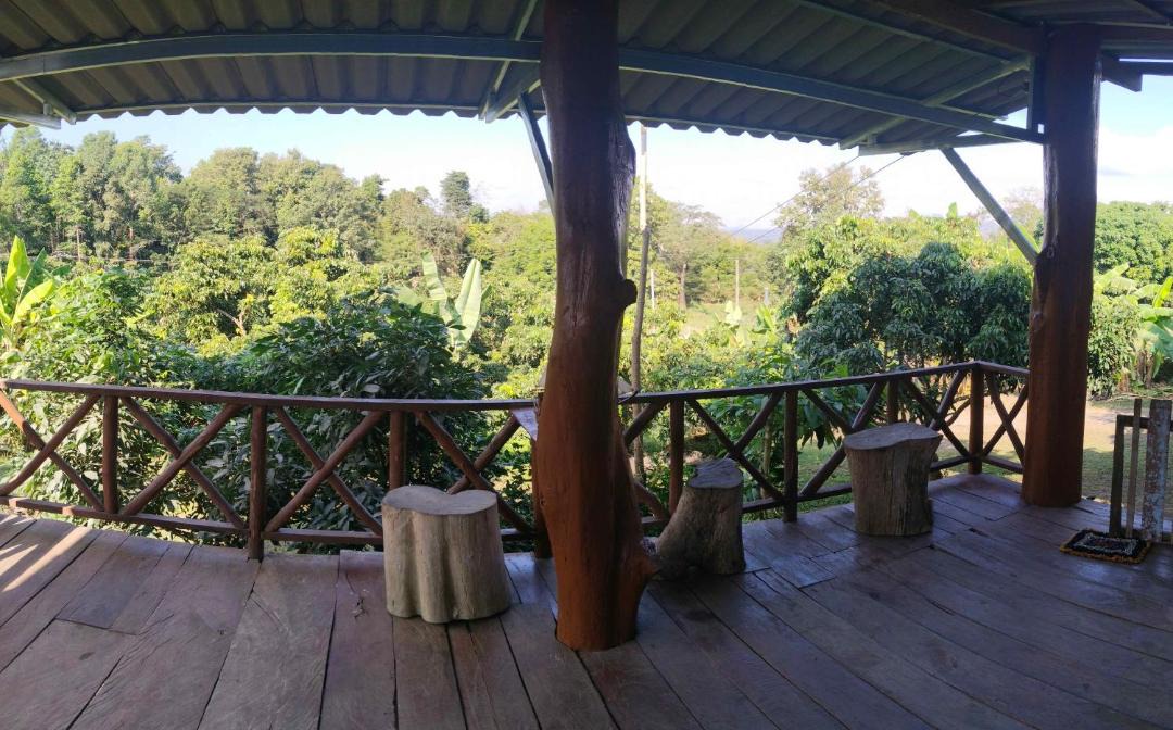 Photo of Others in Chiang Dao