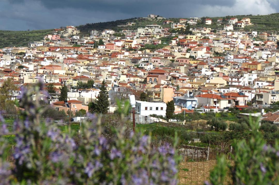Photo of Buildings in Archanes