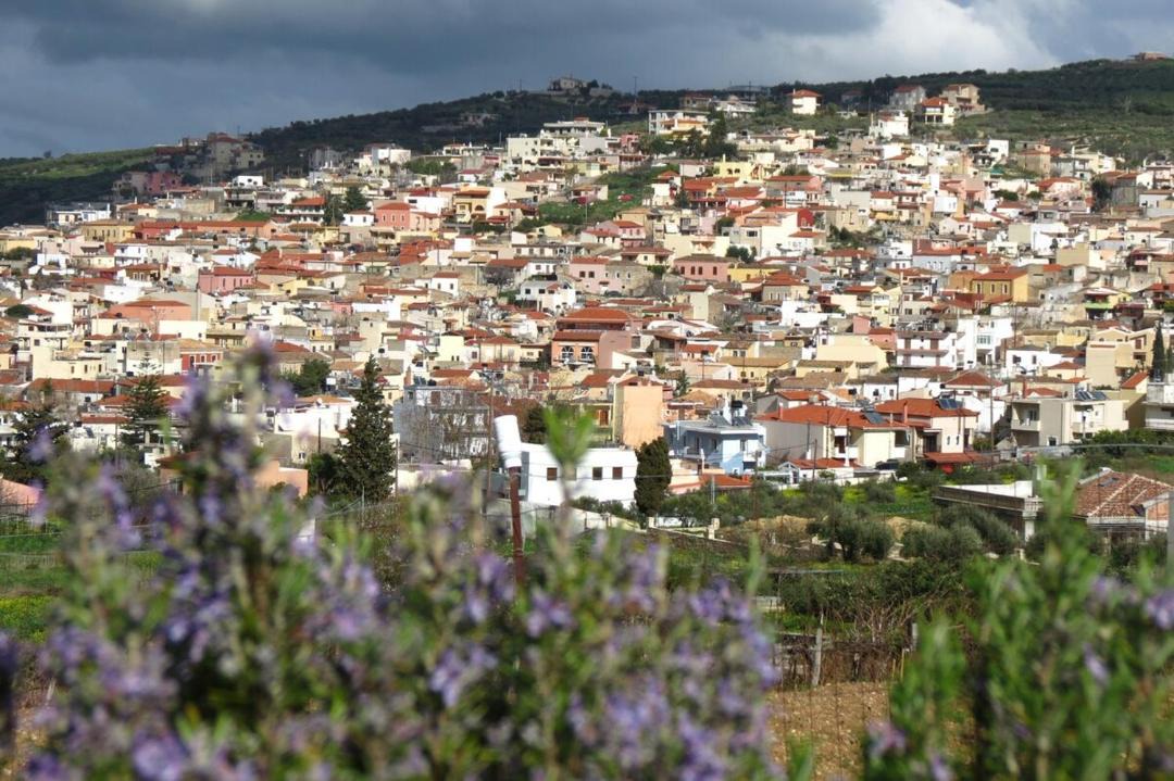 Photo of Buildings in Archanes