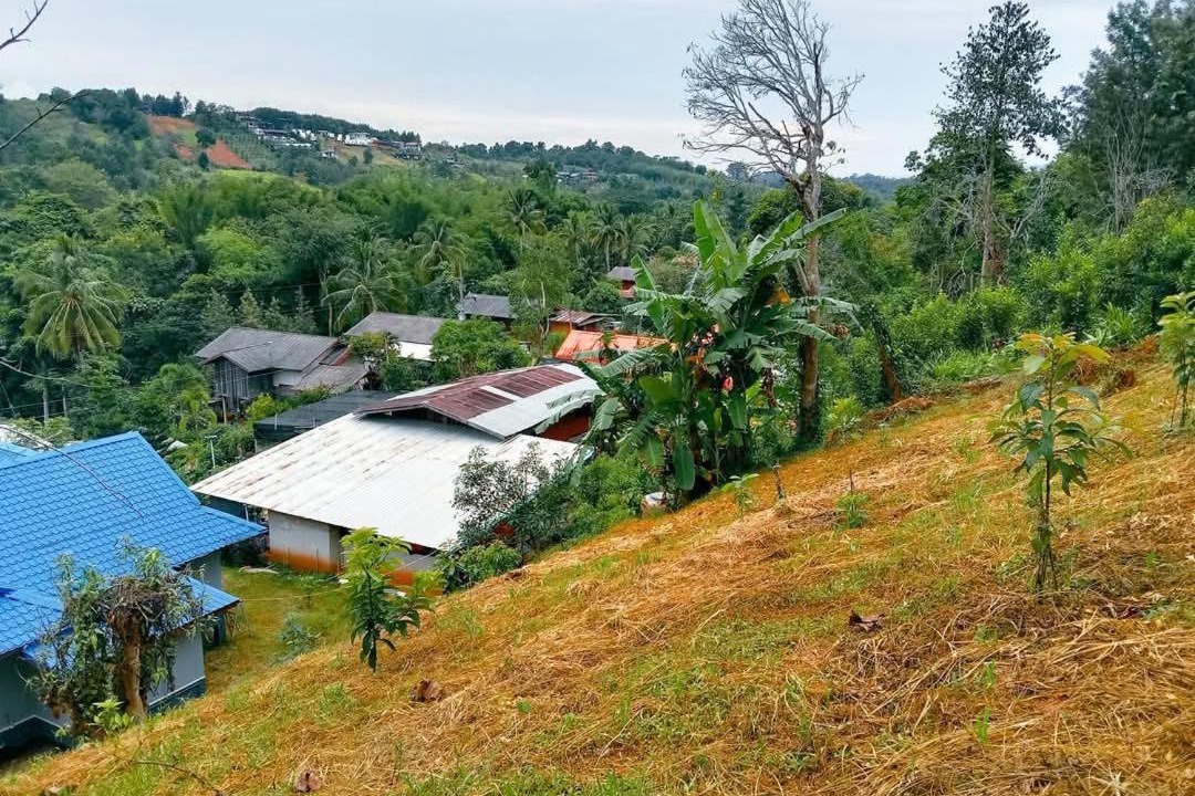 Photo of Others in Sado Phong