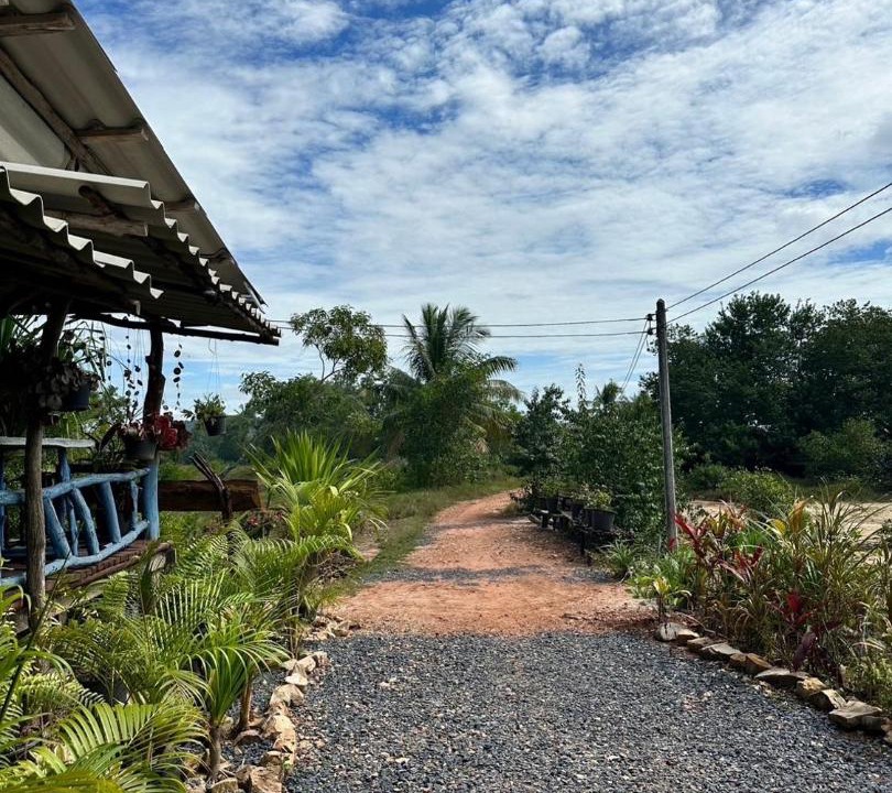 Photo of Others in Nuea Khlong